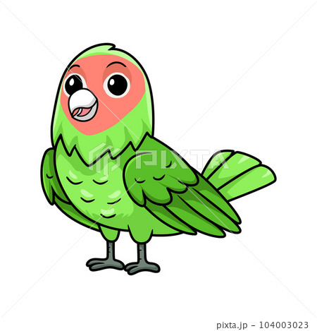 Cute peach faced love bird cartoon 104003023