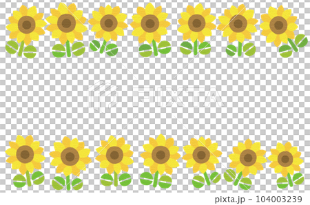 ひまわりヨコ ひまわりヨコ 104003239