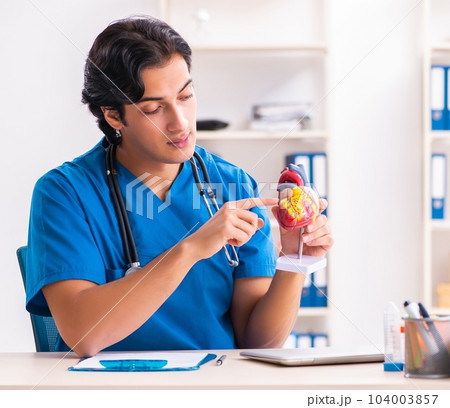Young handsome doctor working at the clinic 104003857