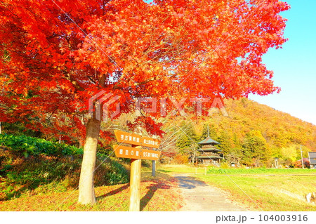 安久津八幡神社 紅葉 黄葉 安久津八幡神社 紅葉 黄葉 104003916