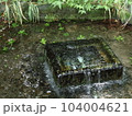 涼しそうな湧き水 104004621