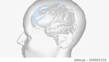 The Attention Deficit Hyperactivity Disorder The Attention Deficit Hyperactivity Disorder 104005118