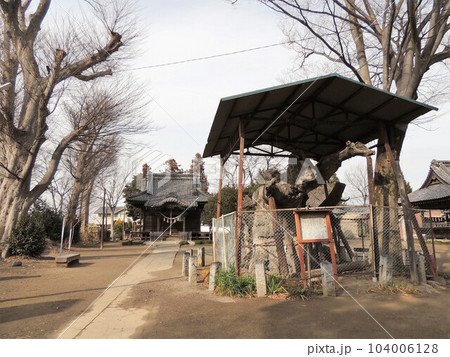 鹿島神社 深谷市 鹿島神社 深谷市 104006128