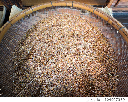 縁側で麦干し 104007329