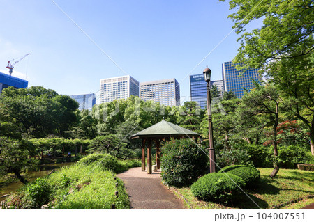 (東京)初夏の日比谷公園 (東京)初夏の日比谷公園 104007551
