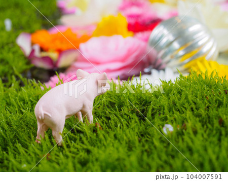 苔と花手水と子豚 104007591