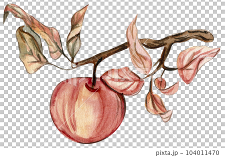 Autumn illustration of a withering apple tree. Hand drawn illustration of autumn. Perfect for scrapbooking, kids design, wedding invitation, posters, greetings cards, party decoration. 104011470