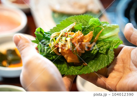 韓国 朝鮮 コリア 104012390