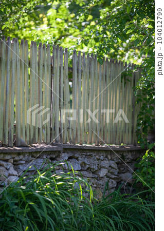 Rural fence made of narrow wooden boards Rural fence made of narrow wooden boards 104012799