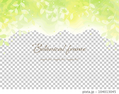 Gentle green botanical frame background illustration 104013045