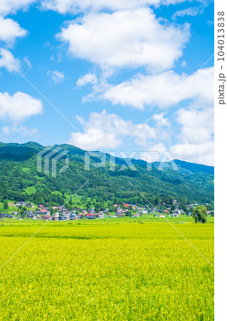 夏の田園風景(8月) 夏の田園風景(8月) 104013838