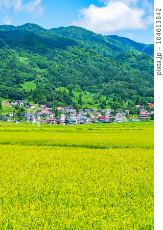 夏の田園風景(8月) 夏の田園風景(8月) 104013842