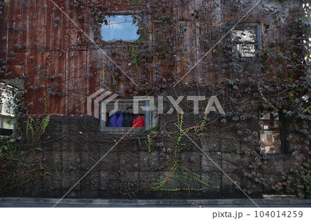 東京23区の街並み 東京23区の街並み 104014259