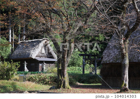 紅葉した郷越中五箇山菅沼集落 104014303