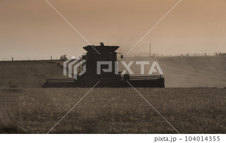 Harvester machine, harvesting in the Argentine countryside, Buenos Aires province, Argentina. 104014355