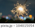 手持ち花火 104015054