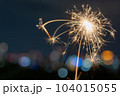 手持ち花火 104015055
