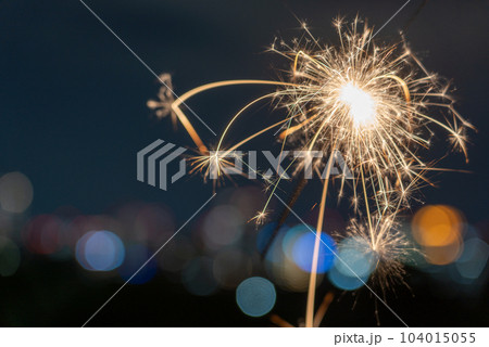手持ち花火 手持ち花火 104015055