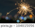 手持ち花火 104015056