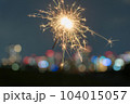 手持ち花火 104015057