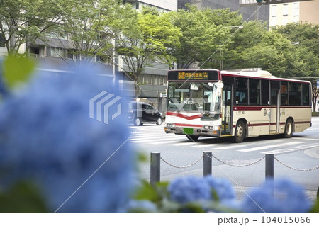 JRバスと紫陽花（あじさい）御池通2 104015066