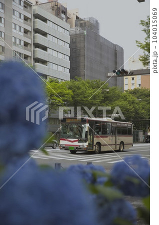 JRバスと紫陽花(あじさい)御池通3 JRバスと紫陽花(あじさい)御池通3 104015069