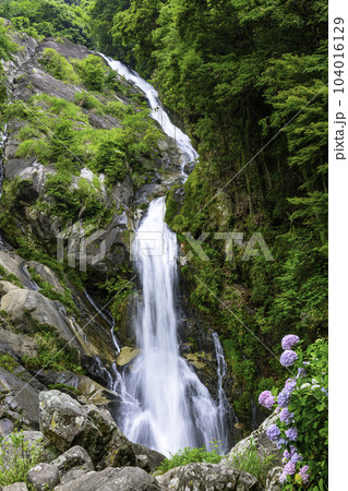 佐賀県唐津市の美しい見帰りの滝 104016129