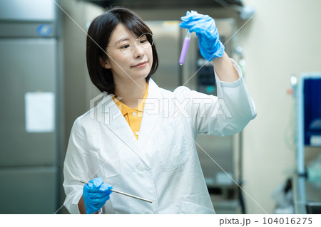 研究する白衣の女性 研究する白衣の女性 104016275