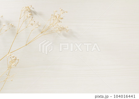 白木の背景にドライフラワーのかすみ草とコピースペース 白木の背景にドライフラワーのかすみ草とコピースペース 104016441