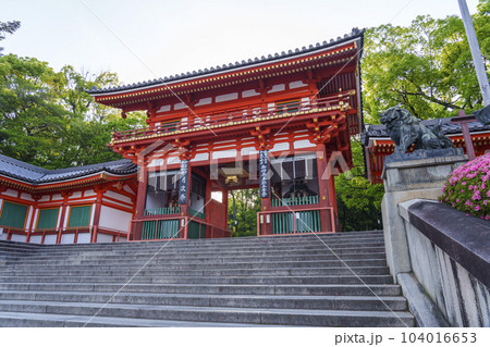 初夏の京都　早朝の八坂神社　西楼門 104016653