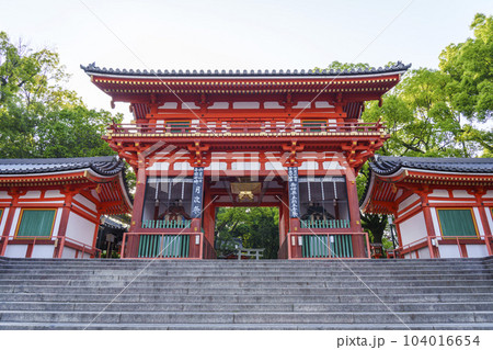 初夏の京都　早朝の八坂神社　西楼門 104016654