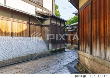 初夏の石塀小路の風景（京都府京都市東山区） 104016717