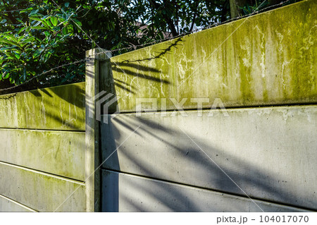 Morning sun shines on fence made out of concrete plates, green from rain made algae, and barbed wire on top Morning sun shines on fence made out of concrete plates, green from rain made algae, and barbed wire on top 104017070
