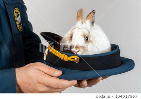little rabbit is sitting in a military cap on light background little rabbit is sitting in a military cap on light background 104017867