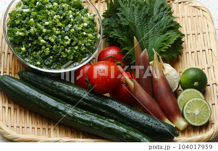 野菜 野菜 104017959