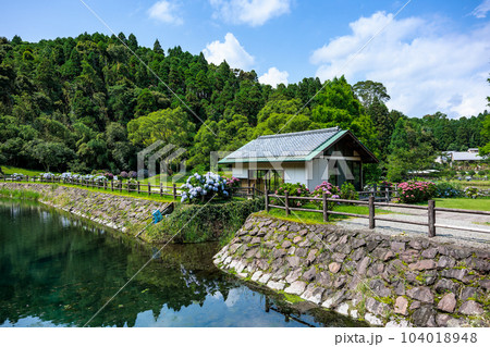 蓬の郷親水公園　あじさい 104018948