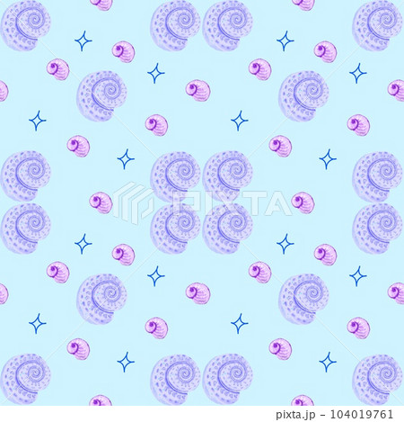 shell  shellfish clam  background 104019761
