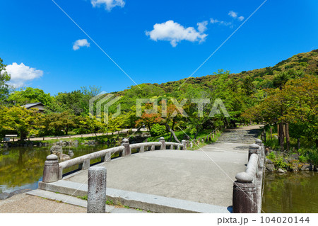 丸山公園のひょうたん池と周囲の景観 若葉に新緑 丸山公園のひょうたん池と周囲の景観 若葉に新緑 104020144