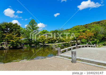丸山公園のひょうたん池と周囲の景観　若葉に新緑 104020147