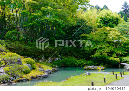 青蓮院　庭園　若葉に新緑 104020415