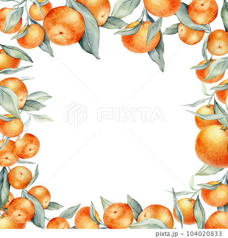 Frame with Orange Fruits. Hand drawn watercolor illustration of square Frame with citrus food and green leaves on white isolated background. Border with tropical mandarins for labels or sticker. 104020833