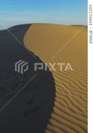 Dune landscape, La Pampa , Argentina 104021203