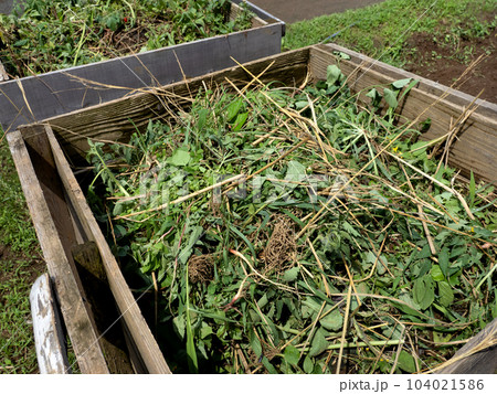 畑に設置した堆肥枠 104021586