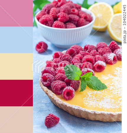 Lemon tart garnished with raspberry, color palette 104022445