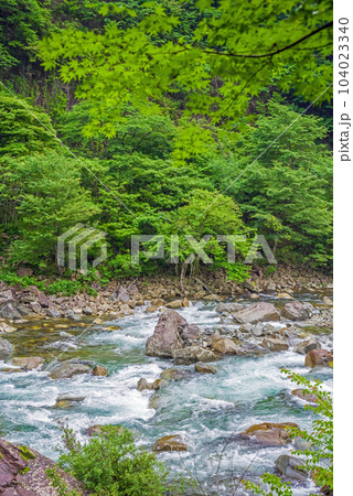 新緑と渓流【下呂市馬瀬】 104023340