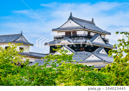 愛媛 松山城　～大天守～ 104023445