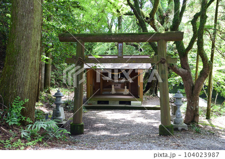 淡島神社 104023987