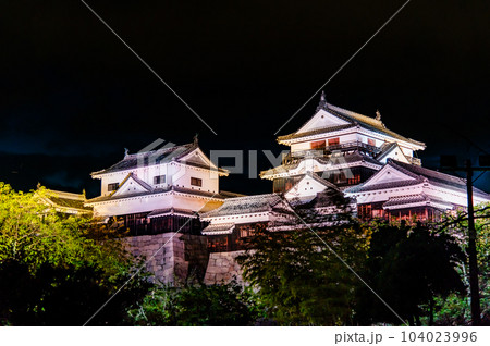 愛媛 松山城　～ライトアップされた天守群～ 104023996
