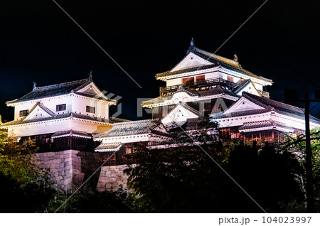 愛媛 松山城　～ライトアップされた天守群～ 104023997