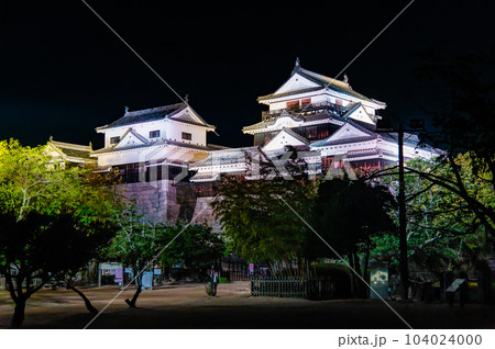 愛媛 松山城　～ライトアップされた天守群～ 104024000